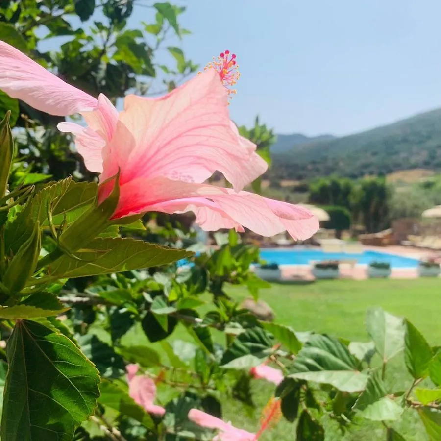 Hotel Janas Tertenia